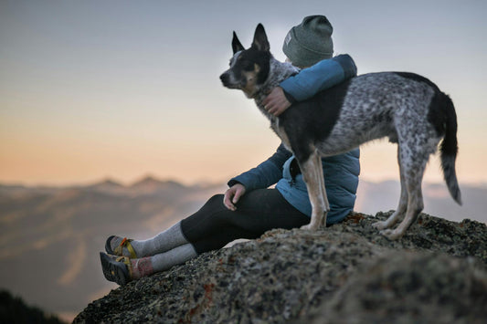 How to Cope with the Loss of Your Soul Dog: A Guide to Healing After Losing a Beloved Pet