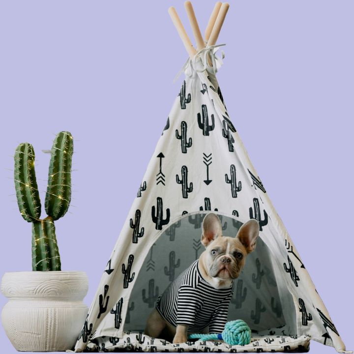 Dog in a tent