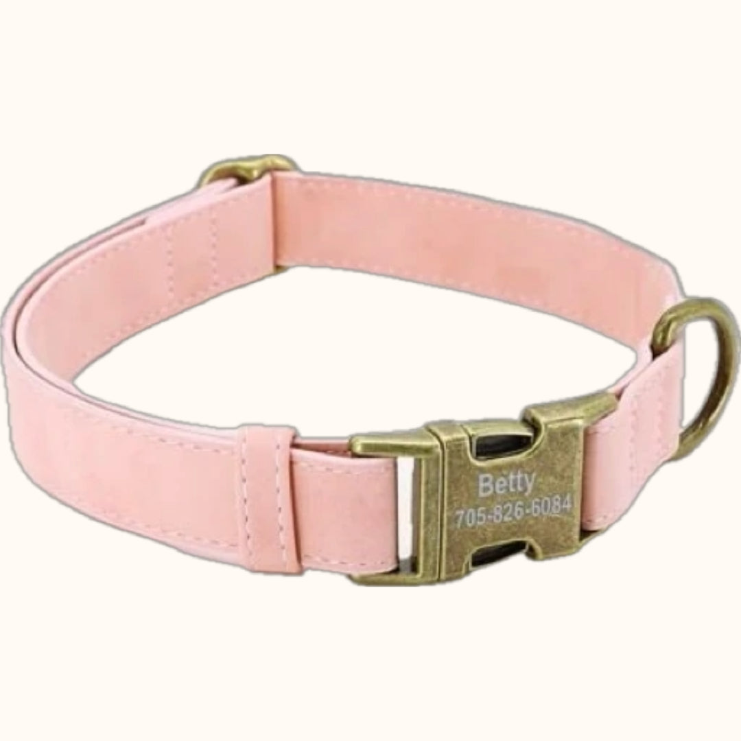 Personalized Dog Collar with ID Tag – Free Engraving & Leather Comfort