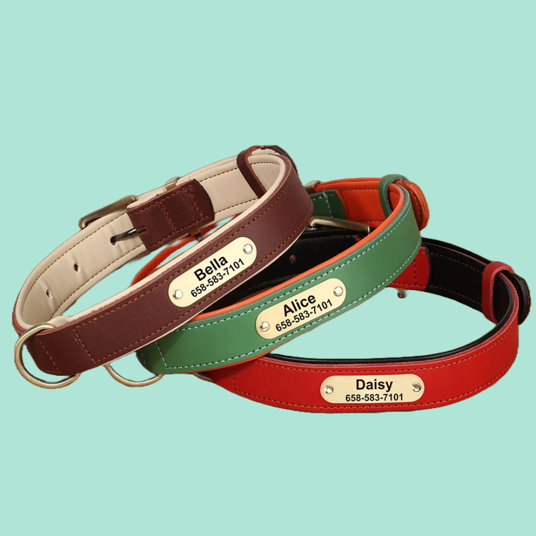 Personalized Leather Dog Collar with Custom Engraved Tag – Anti-Lost & Adjustable for All Breeds