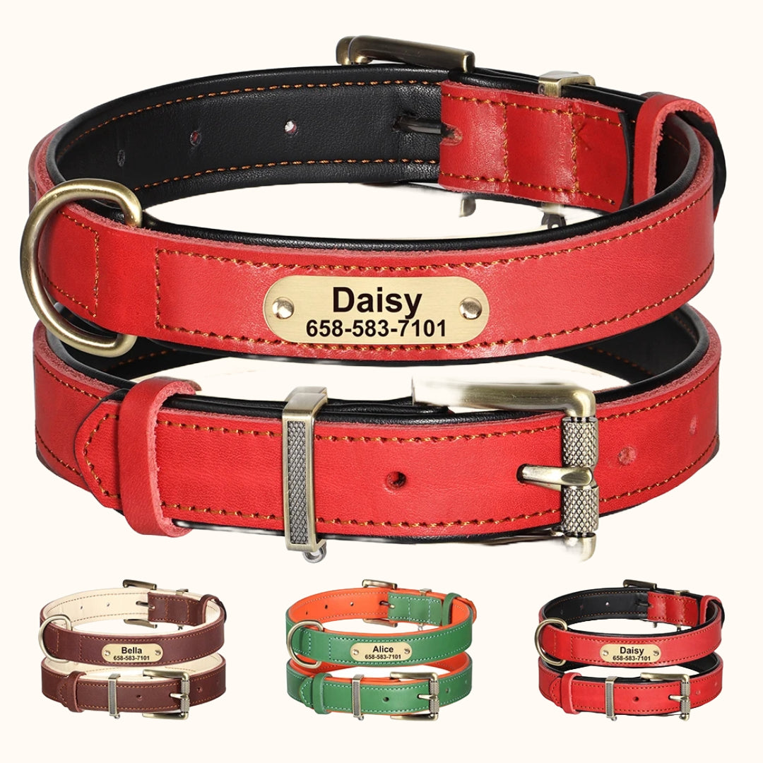 Personalized Leather Dog Collar with Custom Engraved Tag – Anti-Lost & Adjustable for All Breeds