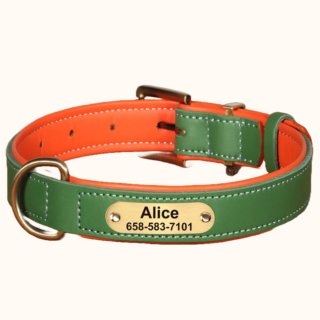 Personalized Leather Dog Collar with Custom Engraved Tag – Anti-Lost & Adjustable for All Breeds