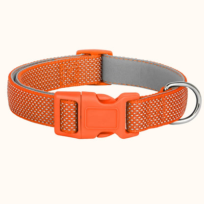 Reflective Nylon Dog Collar – Lightweight, Night-Safe Collar, Small to Large Breeds