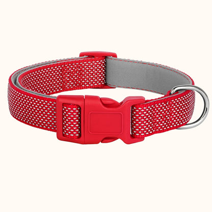 Reflective Nylon Dog Collar – Lightweight, Night-Safe Collar, Small to Large Breeds