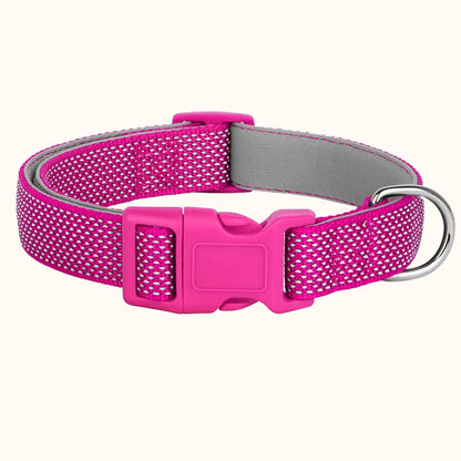 Reflective Nylon Dog Collar – Lightweight, Night-Safe Collar, Small to Large Breeds